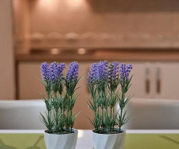 Apartmani Iva